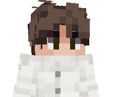 PRIZRAK_232's skin