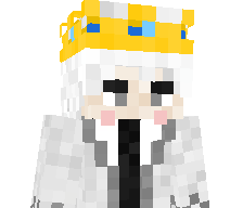 pluh1267's skin