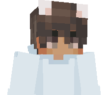 Zeeentify's skin