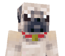 LordRonnie456's skin