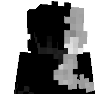 cataquill's skin