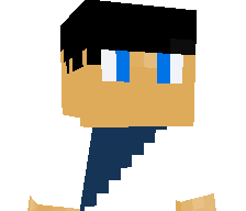 D2MC's skin
