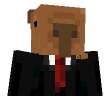 ZDarkMasterPVP's skin