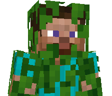 11FPSXD's skin