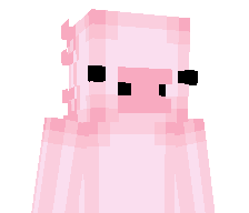 kapibara13's skin
