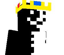 v0idruler's skin
