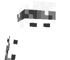 iMatIdk's skin