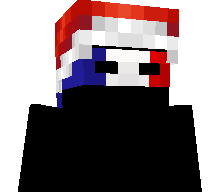 Statefly's skin