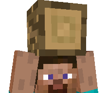 vxcsss's skin