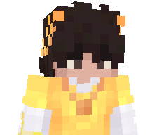 sonderX2's skin