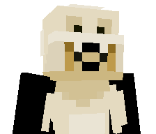 fortnitefarter69's skin