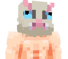 DondaTool9029's skin