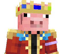 StrikerMahi's skin