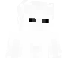 slowneey's skin