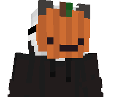 boonik2137's skin