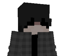 313Ceres's skin