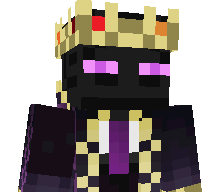 SoulSeekerPlayz's skin