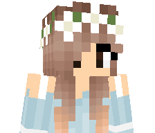 licjoza29's skin