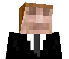 P2o1's skin