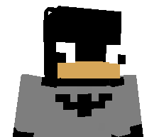 eNT1_'s skin