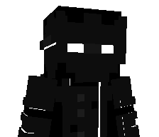 WOYERER's skin