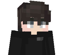 einflint's skin