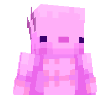 Vort9x's skin