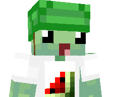 turtle_melon's skin