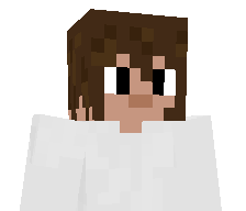 Arc111111's skin