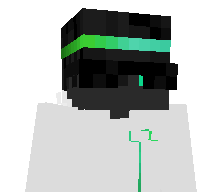 Vaakalintu's skin