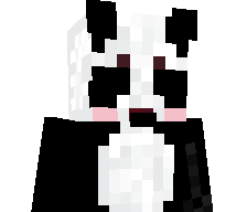 DreamGamer2007's skin