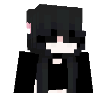 798K's skin