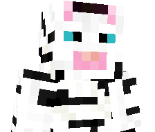 FlyingKiwi12's skin