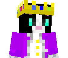 T0fu_the_great's skin