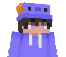 lpro911's skin