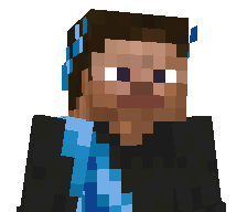 Fanel_n1vb's skin