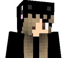 pvp4fun's skin