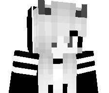 VoidyCat's skin