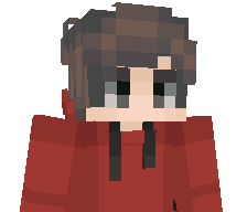 xXFetoGamerXx's skin