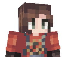 Brykietto's skin