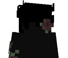DSPALASBANDIDAS's skin