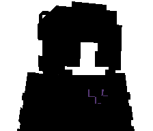 NLDCE's skin