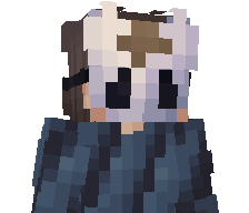 MINERCOOLDAVE's skin
