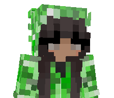 N1554's skin
