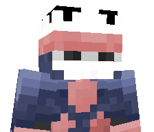 KNIGHTFALL24's skin