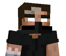 Shvr_'s skin