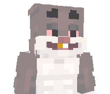 Sqoib's skin