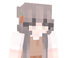 StealthMode0427's skin