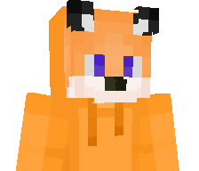 TechnicFox's skin