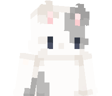 AuroraForgei91's skin
